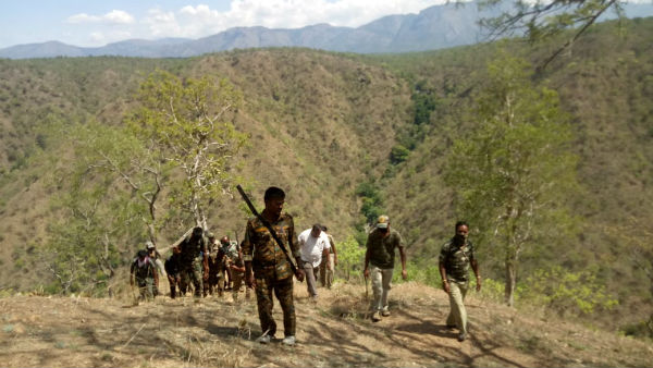  ಮಾಂಸಕ್ಕಾಗಿ ಕಾಡುಪ್ರಾಣಿಗಳ ಬೇಟೆ