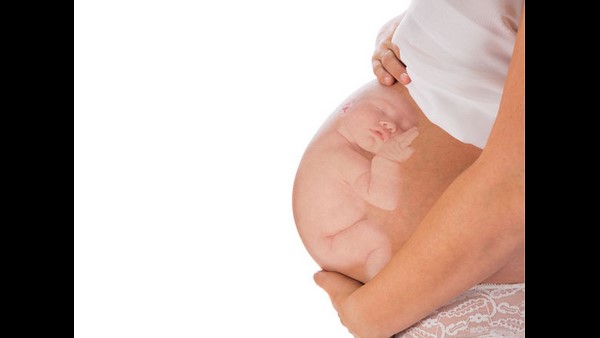 Government Instructions About Pregnant Womens Health Government Instructions About Pregnant Womens Health