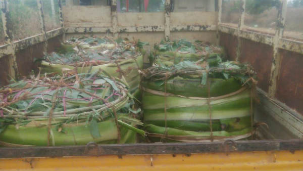 ವಿವಿಧ ತರಕಾರಿಗಳು