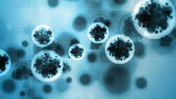 ಕೊರೊನಾ ವೈರಾಣು ಹಬ್ಬಲು ಕಾರಣವಾಯಿತು 