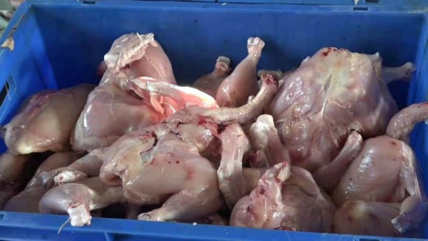 ಬೆಲೆ ಕಡಿಮೆ: ಕುರಿ ನಿಗಮದ ಅಧಿಕಾರಿಗಳಿಗೆ ಮನವಿ