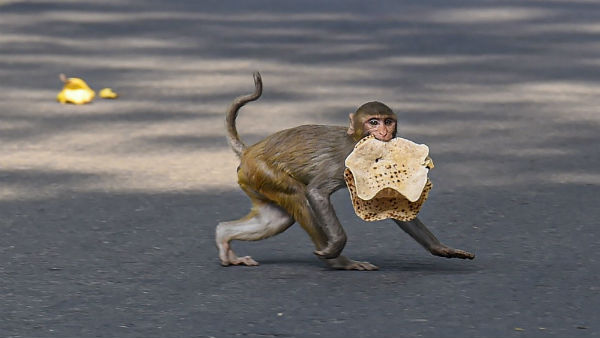 ಒಂದು ಹೊತ್ತಿನ ಊಟ ಸಿಕ್ಕಿತು