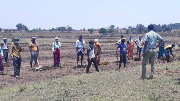  Lock Down NREGA Work Begins At Kalagatagi