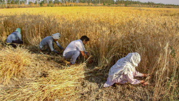 ಹಲವಾರು ಕ್ರಮ ಕೈಗೊಳ್ಳಲಾಗಿದೆ