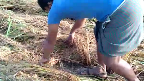  ಕೃಷಿ ಸಚಿವರ ಭರವಸೆ