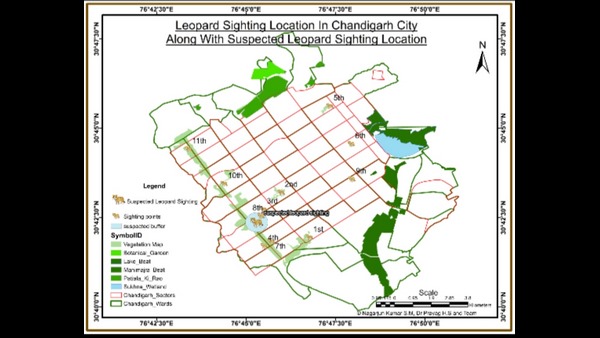  ಈಗಲೂ ಬೋನಿರಿಸಿಯೇ ಚಿರತೆಗಳ ಸೆರೆ 