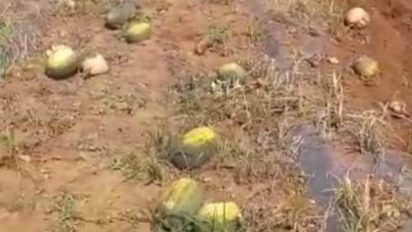  ಗುಂಡ್ಲುಪೇಟೆಯಲ್ಲಿ ಅಂತರ್ಜಲ ವೃದ್ಧಿಯಾಗಿತ್ತು
