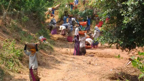 ನರೇಗಾ, ಕೃಷಿ ಚಟುವಟಿಕೆ