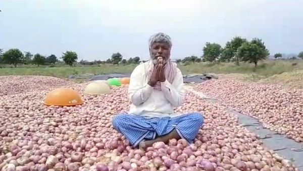 ಬೆಲೆಯಿಲ್ಲ, ಸಾಗಿಸಲು ಆಗ್ತಿಲ್ಲ ಕಟಾವು ಮಾಡಿಲ್ಲ!