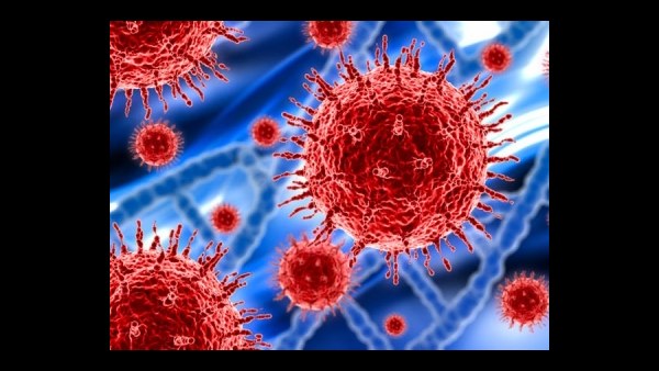 ರೋಗ ಆರಂಭವಾಗಿದ್ದು ಯಾವಾಗ.?