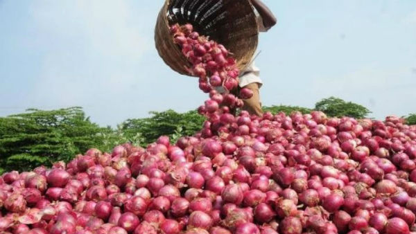 ಮುಂಡರಗಿ ತಾಲೂಕಿನ ರೈತರ ಪರಿಸ್ಥಿತಿಯೂ ಇದೆ