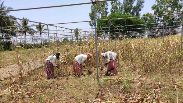 ಕೇಂದ್ರ ಸರ್ಕಾರದ ನಿಯಮದಲ್ಲಿಲ್ಲ ಬದಲಾವಣೆ