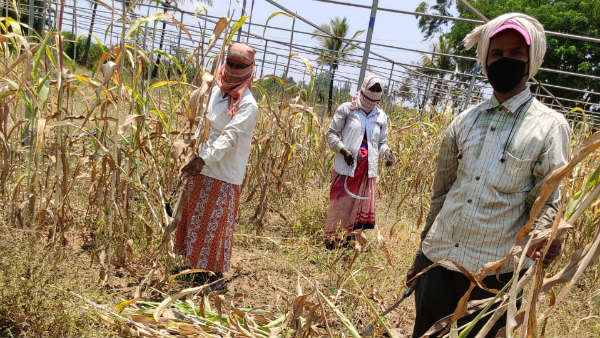 ಸಾಲದ ಬಾಂಡ್‌ನಲ್ಲಿ ಈ ಹೊಸ ನಿಯಮಗಳಿಲ್ಲ!