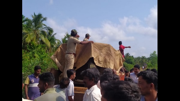 Leopard Captured By Forest Department In Chikkamgaluru Leopard Captured By Forest Department In Chikkamgaluru
