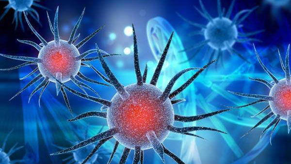 ವೈರಸ್ ಯಾವಾಗ ಹೊರಹೊಮ್ಮಿರಬಹುದು? ವೈರಸ್ ಯಾವಾಗ ಹೊರಹೊಮ್ಮಿರಬಹುದು?