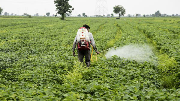 ಮಳೆ ಆರಂಭವಾದರೆ ಅಂತರ್ಜಲ ಮಟ್ಟ ಹೆಚ್ಚಾಗುತ್ತದೆ 