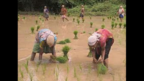 ಸಾಗುವಳಿ ಪದ್ಧತಿದಲ್ಲಿ ಬದಲಾವಣೆ ಸಾಗುವಳಿ ಪದ್ಧತಿದಲ್ಲಿ ಬದಲಾವಣೆ