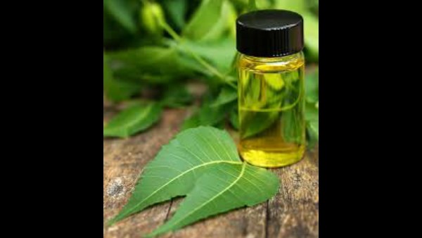 ಪ್ಲೋರೋಸೆನ್ಸ್ ಬ್ಯಾಕ್ಟೀರಿಯಾ ಬಳಕೆ ಪ್ಲೋರೋಸೆನ್ಸ್ ಬ್ಯಾಕ್ಟೀರಿಯಾ ಬಳಕೆ