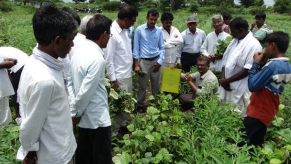 ಬೇವು ಆಧಾರಿತ ಕೀಟನಾಶಕಗಳು ಬೇವು ಆಧಾರಿತ ಕೀಟನಾಶಕಗಳು