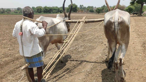 ಮುಂಗಾರು ಮಳೆ ಮುಂಗಾರು ಮಳೆ
