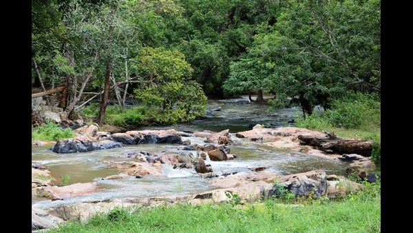  ಲಾಕ್ ಡೌನ್ ನಿಂದ ಜನರ ಓಡಾಟ ತಗ್ಗಿತ್ತು