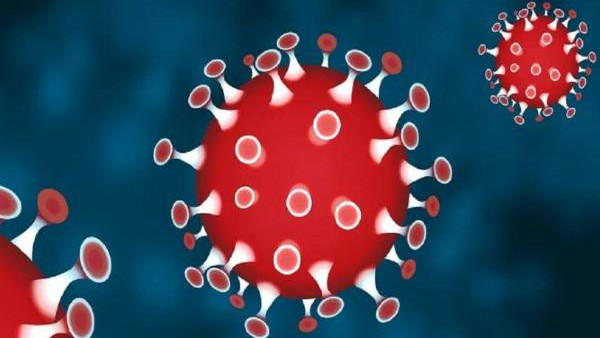 ಹೆಚ್ಚಿನ ತಾಪಮಾನ ವೈರಸ್ ವೃದ್ಧಿಯನ್ನು ತಡೆಯುವುದಿಲ್ಲ 