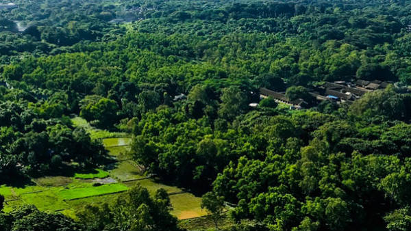  ಒಂದೊಂದು ರೋಗಕ್ಕೆ ಒಂದೊಂದು ಸಸ್ಯದಲ್ಲಿ ಔಷಧಿ 