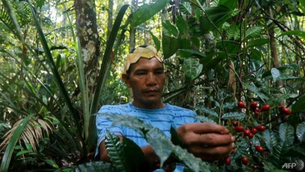  ಪೂರ್ವಜರ ಕಾಲದಿಂದಲೂ ಔಷಧಿ ತಯಾರಿಕೆ 