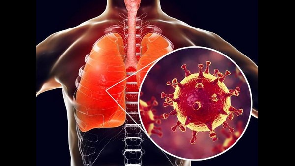 ಅಂಗಗಳ ವೈಫಲ್ಯ