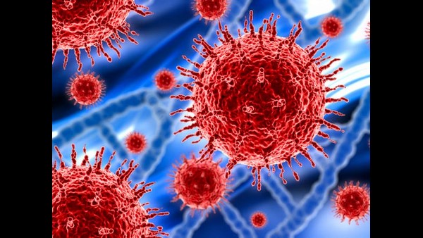 ಪೌಷ್ಟಿಕಾಂಶ ಮತ್ತು ಅಮೈನೋ ಆಸಿಡ್ಸ್