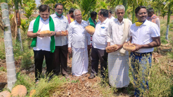 ಬೆಳೆ ಖರೀದಿಗೆ ವ್ಯಾಪಾರಸ್ಥರು ಬರುತ್ತಿಲ್ಲ