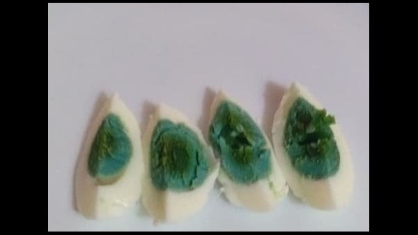 ಹಸಿರು ಪದರವಿರುವ ಮೊಟ್ಟೆ ಇಡುವ ಕೋಳಿ 