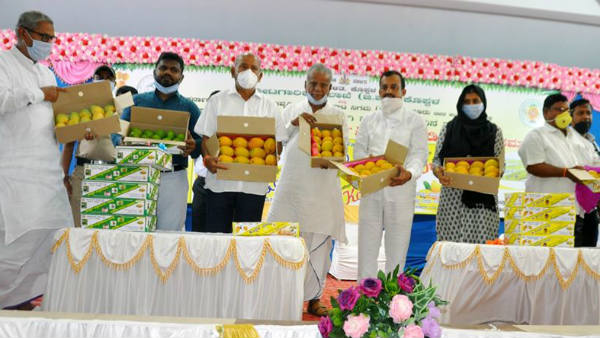 ಒಂದು ಬಾಕ್ಸ್ ಬೆಲೆ ಎಷ್ಟು?