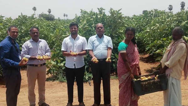 ವೈಜ್ಞಾನಿಕ ಕ್ರಮದಲ್ಲಿ ಬೇಸಾಯ