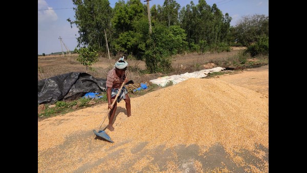 ಸಗ್ರೀವಾಜ್ಞೆ ತಂದರೆ ಹೋರಾಟ ಅನಿವಾರ್ಯ