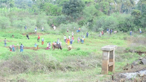  ನಿರ್ಲಕ್ಷ್ಯಕ್ಕೆ ತುತ್ತಾಗಿದ್ದ ಕೆರೆಗಳು