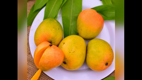  ಪ್ರತಿ ವರ್ಷ ನಡೆಯುತ್ತಿದ್ದ ಮಾವಿನ ಮೇಳ