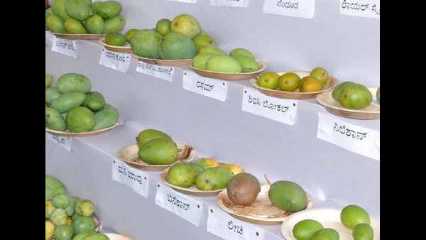  ಆನ್ ಲೈನ್ ಮಾರಾಟ ಪ್ರಕ್ರಿಯೆಗೆ 