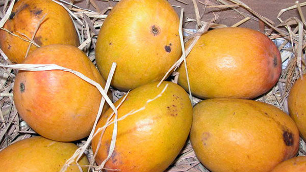  ರೈತರ ಸಂಕಷ್ಟ ನಿವಾರಣೆಗೆ ಬಂದ ನಿಗಮ