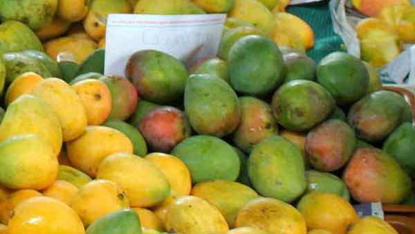 ಫ್ಲಿಪ್ಕಾರ್ಟ್ ವೆಬ್ ಸೈಟ್ ಮೂಲಕ ಬುಕ್ ಮಾಡಿ ಫ್ಲಿಪ್ಕಾರ್ಟ್ ವೆಬ್ ಸೈಟ್ ಮೂಲಕ ಬುಕ್ ಮಾಡಿ