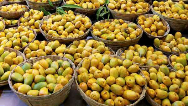  ಗ್ರಾಹಕರಿಂದ ಉತ್ತಮ ಸ್ಪಂದನೆ