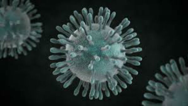 Total 2,282 Covid-19 Positive Cases In Karnataka: 100 Coronavirus Cases Found In Single Day. Total 2,282 Covid-19 Positive Cases In Karnataka: 100 Coronavirus Cases Found In Single Day.