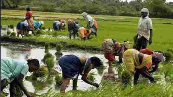  ಬಾಣಲೆಯಿಂದ ಬೆಂಕಿಗೆ ಧುಮುಕಿದಂತಾಗಿದೆ