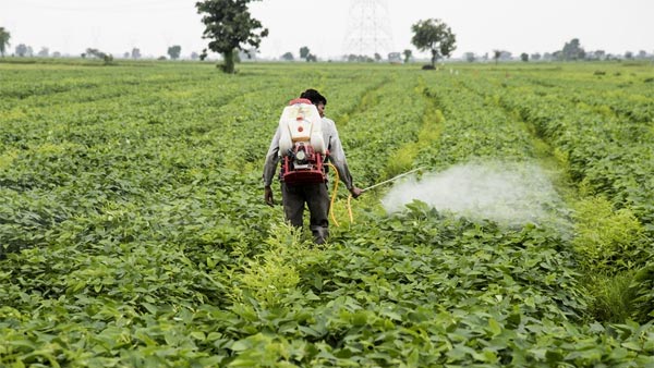  ಚಿಂತಕ ನಾಗೇಶ ಹೆಗಡೆ ಕನಸು