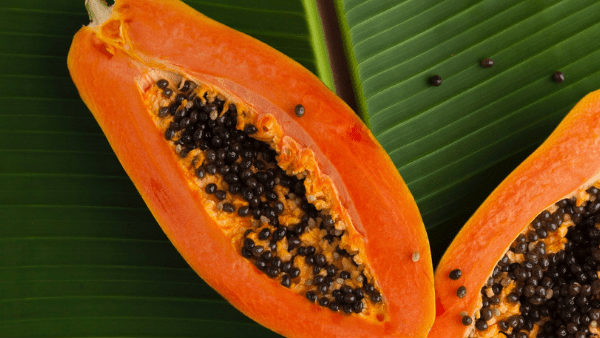  ರೋಗಗಳ ನಿರ್ವಹಣೆಗೆ ಸಲಹೆ ಪಡೆಯಿರಿ