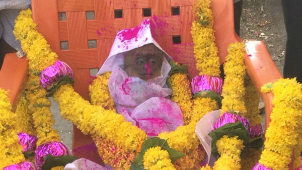 The People Who Funeral The Monkey In Belagavi