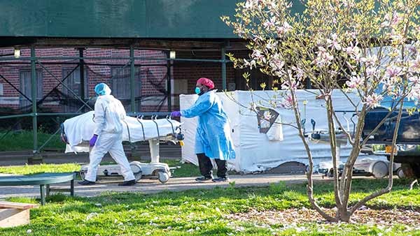 ನ್ಯೂಯಾರ್ಕ್‌ನಲ್ಲಿ ಹೆಚ್ಚು ಸಾವು