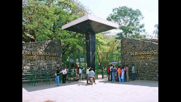 ಪ್ರಾಧಿಕಾರವು ಸೂಚನೆ ನೀಡಿದ ದಿನದಿಂದಲೇ ತೆರೆಯಲಾಗುವುದು