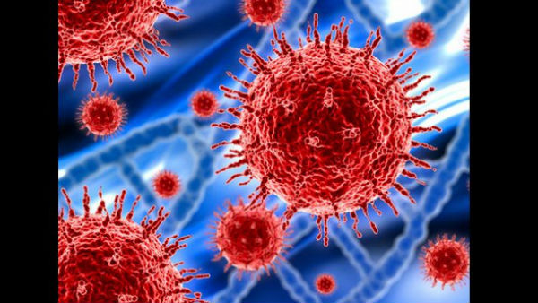 ಕೊರೊನಾ ಮಹಾಮಾರಿಯಿಂದ ನಿಶ್ಚಿಂತೆ 