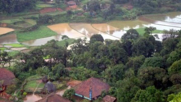  ಭತ್ತದ ಕೃಷಿಯೇ ಪ್ರಧಾನವಾಗಿದ್ದ ಕಾಲವದು...